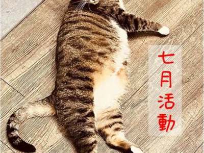 七月活動